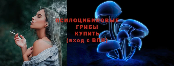 амф Заволжье