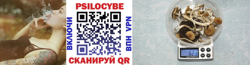 Псилоцибиновые грибы Cubensis  Купить где  Волчанск 